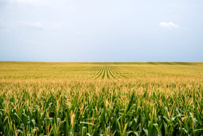 Investing in Barry County: Balancing Residential, Farm, and Acreage Opportunities